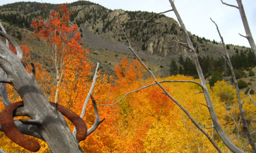 Paradise Valley in Montana