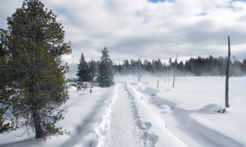 Cross Country Skiing