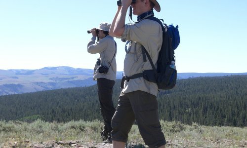 Guided Tours