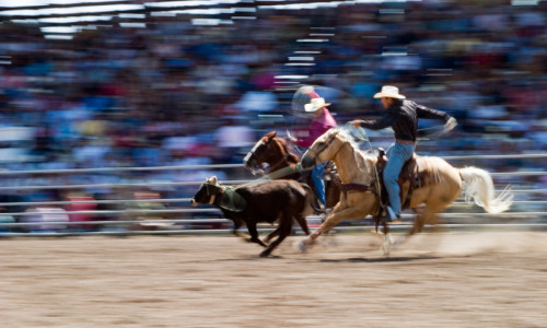Rodeo