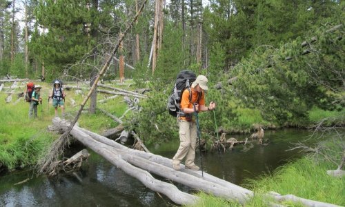 Norris Area Day Hikes