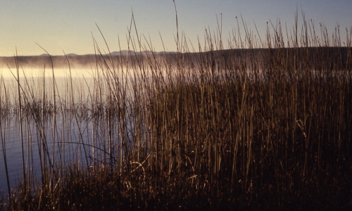 Shoshone Lake